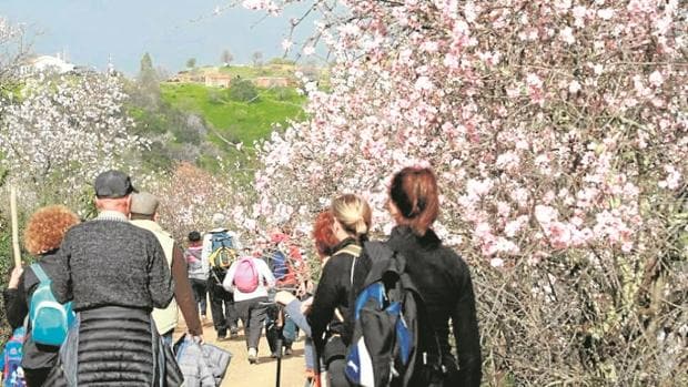 Las aldeas de Portugal donde puedes ver la eclosión de los almendros en flor