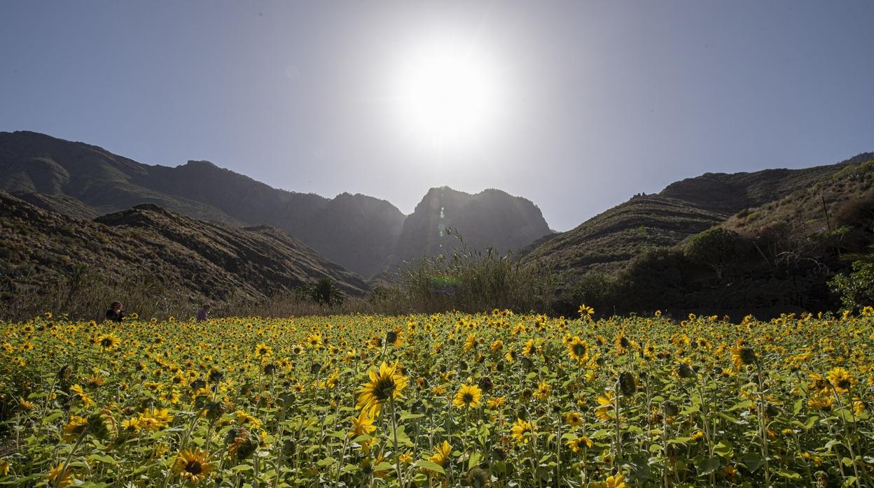 Finca Redondo de Guayedra