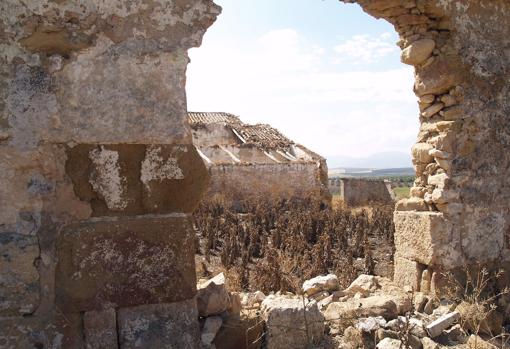 La gran mezquita rural oculta en un cortijo malagueño