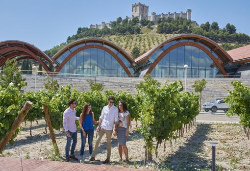 Algunas bodegas que ya han abierto a los turistas: viñedos y catas para este verano