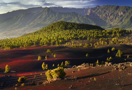 Miradores para descubrir La Palma, la isla con mayor desnivel del mundo