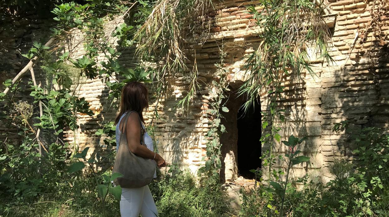 Acceso a la mina del agua de Gelves (Sevilla)