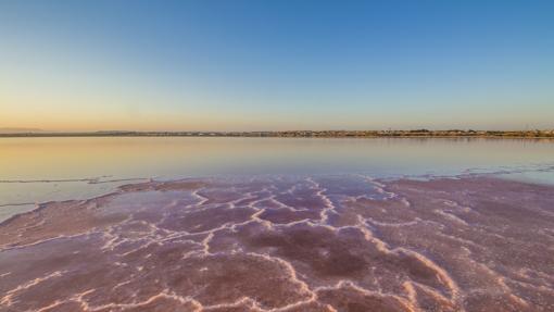 Laguna rosa de Torrevieja