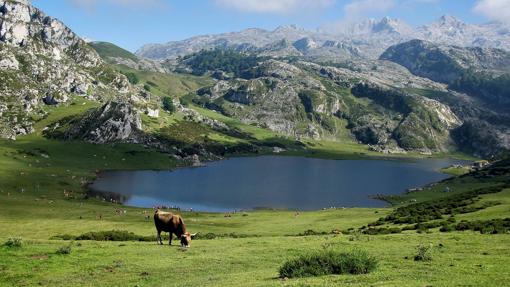 Lago de Enol