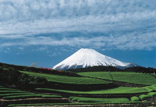 Recorrido virtual por cinco destinos mágicos de Japón para soñar con futuros viajes