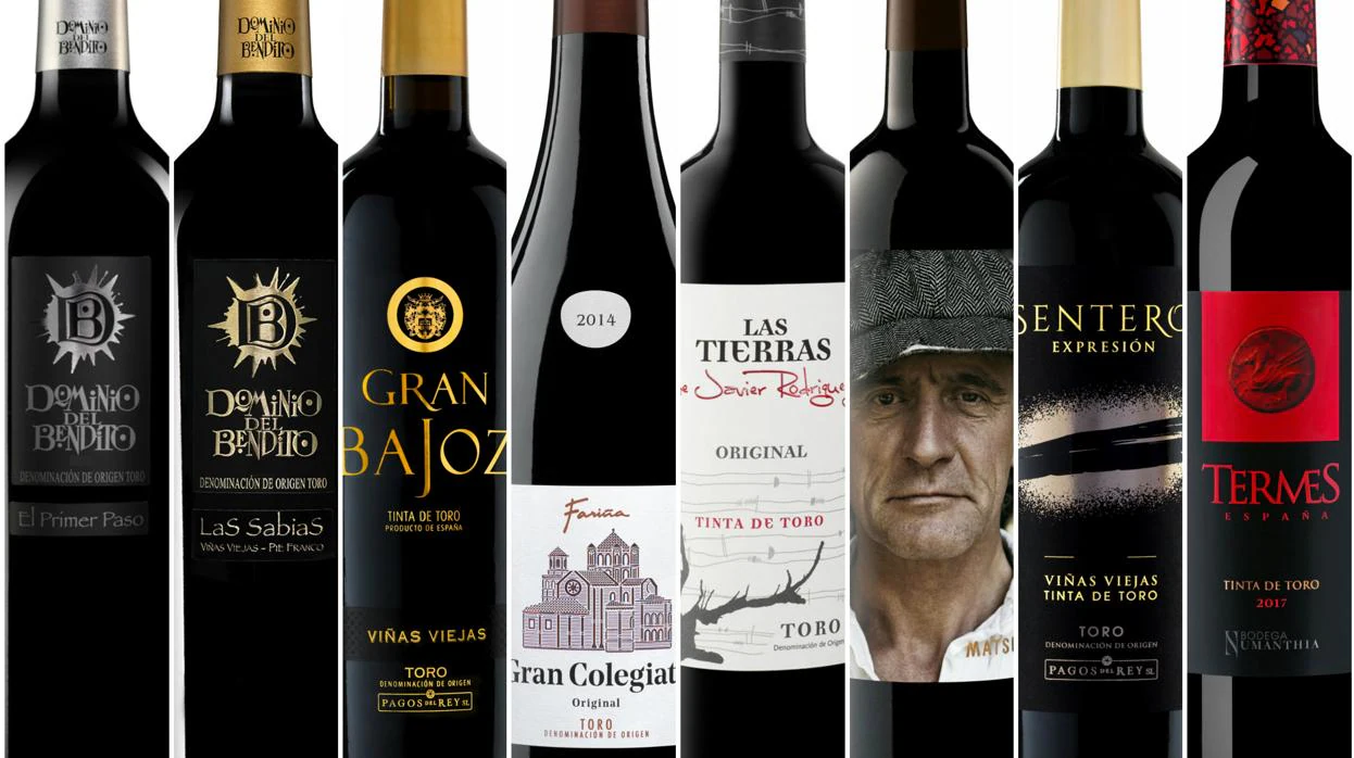 Siete vinos de Zamora y uno de Valladolid con D. O. Toro