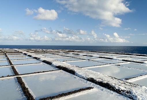 Salinas de Fuencaliente