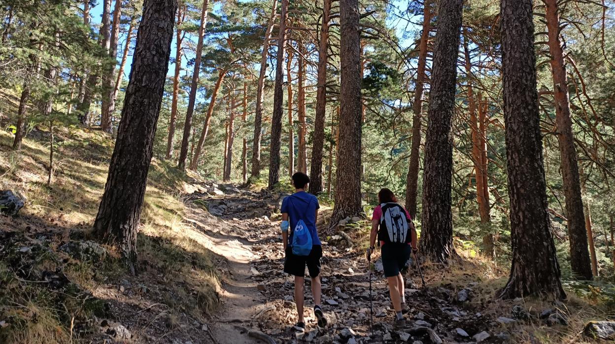 Calzada romana, en la sierra de Guadarrama