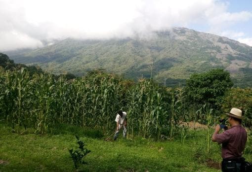 Jala, el pueblo mexicano con las mazorcas de maíz más grandes del mundo