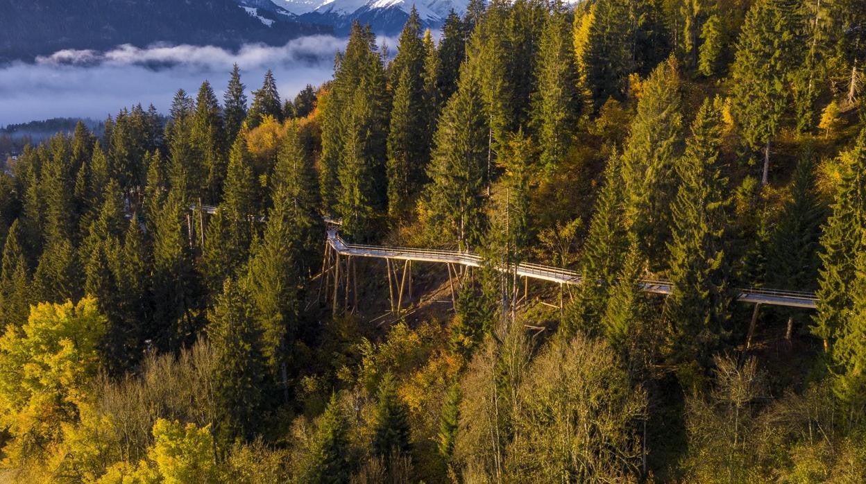 Vista aérea de la nueva pasarela entre los árboles, en Suiza