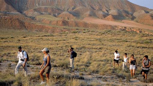 Aficionados a la observación de aves en el área de 'El Planerón'