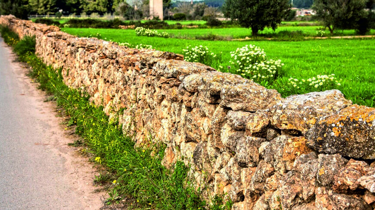 El tramo del Camí de Pedrisset cuenta con muros de piedra seca, construidas con una técnica que en 2018 fue declarada Patrimonio inmaterial por la Unesco