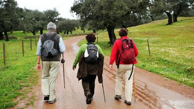 De Sevilla a Santiago, 800 kilómetros de calzada histórica