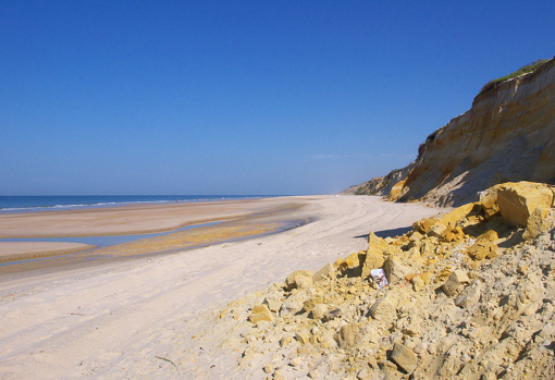 Playa del Asperillo