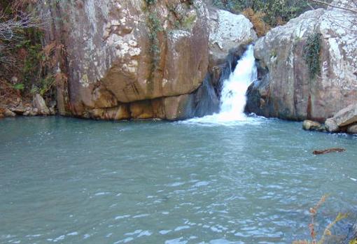 El sendero del Río de la Miel en Algeciras nos depara sorpresas como las de la imagen