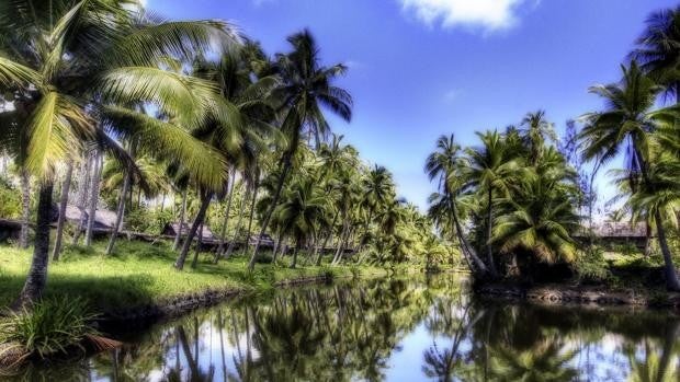 El adiós al mítico hotel de Hawái que adoraban Elvis Presley y Frank Sinatra