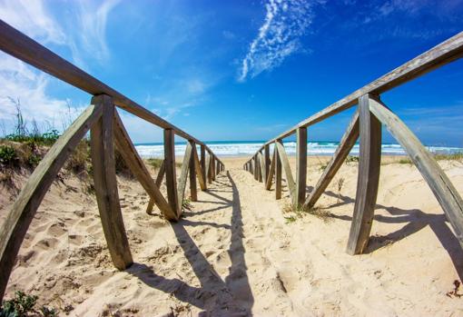 Playa de El Palmar, en Cádiz