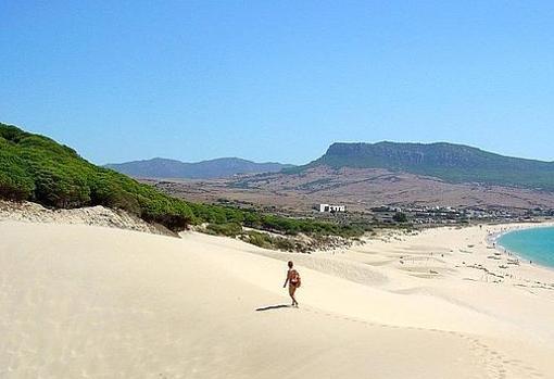 Tarifa