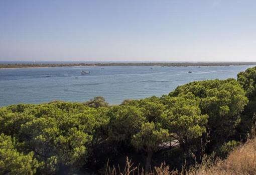 El Rompido desde el mirador