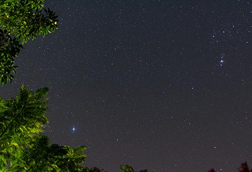 Cielo plagado de estrellas