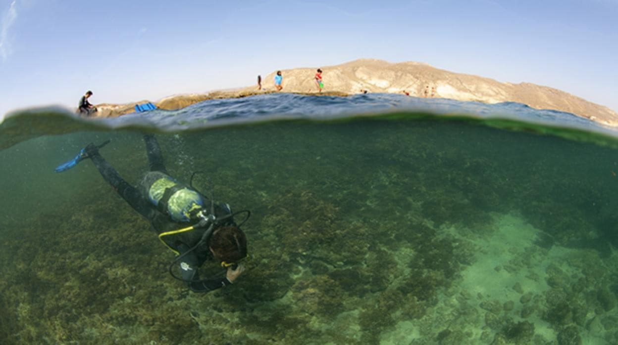 Un buceador comienza la inmersión en una de las playas gaditanas