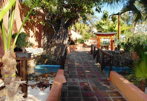 Museo Jardín del Bonsai en Almuñécar