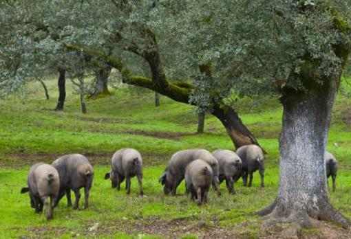 Dónde encontrar los mejores paisajes de Andalucía para el otoño