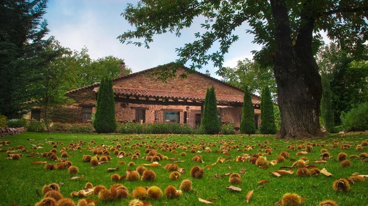 Imagen de la casa rural de El castañar de Aracena