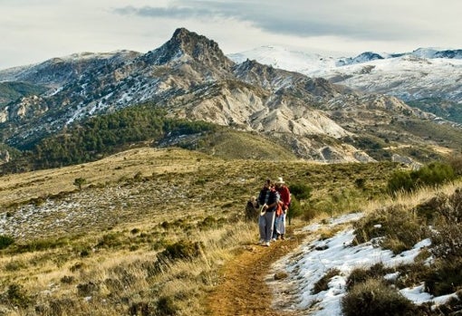 Senderos por los que perderse en Sierra Nevada