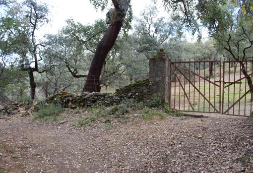 La sierra de Huelva es un territorio ideal para los amantes de la naturaleza