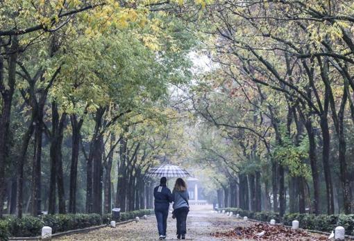 Día de lluvia en el Parque de María Luisa durante el otoño