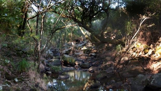 Senderos increíbles para recorrer en otoño en el Campo de Gibraltar