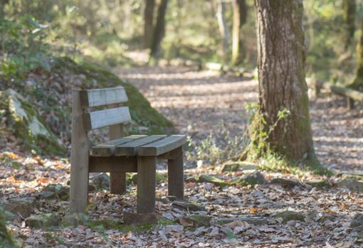 El recorrido por el sendero de Valdeinfierno nos deja estampas como ésta