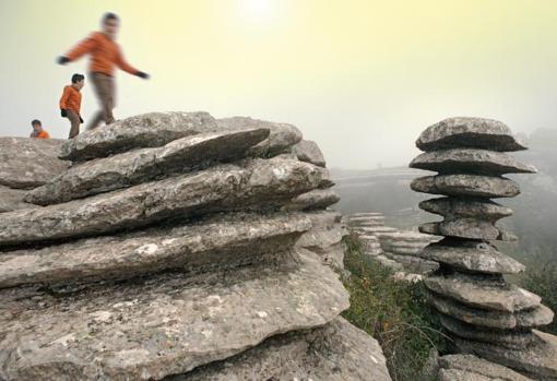 Siete bosques asombrosos de Andalucía que parecen encantados