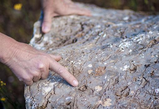 Huellas de Historia en el patrimonio geológico.