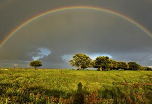 Arcaoiris en Doñana