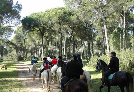 Rutas a caballo cerca de Sevilla para disfrutar de la naturaleza