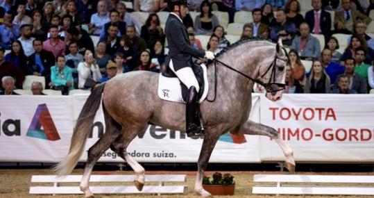 Caballo Yucatán de Ramos en la edición 2018 de Sicab