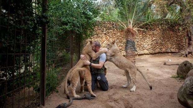 Un día en familia en el Zoo de Castellar de la Frontera