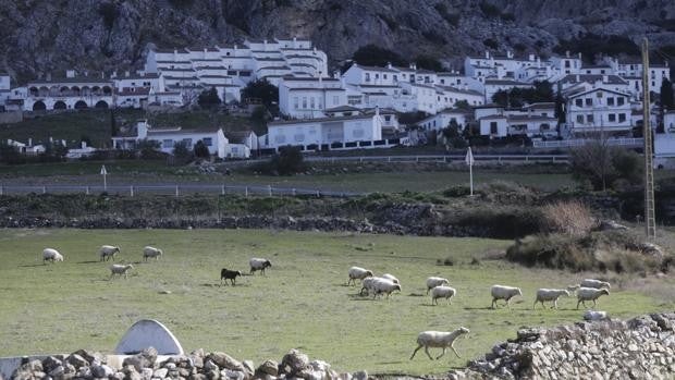 Conoce Benaocaz, qué ver: un pueblo blanco en medio de las montañas