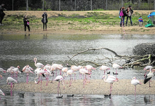 La Cañada de los Pájaros