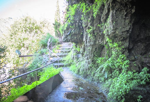 Imagen de la larga escalera del Jardín Vertical