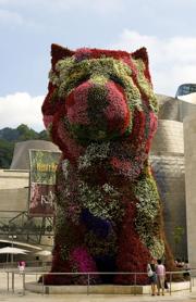 El perro Puppy visto de frente, con el Guggenheim de fondo