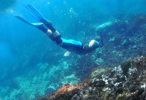 Reserva de coral en Calahonda, Granada