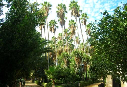 De visita con los más pequeños en el Zoobotánico de Jerez de la Frontera