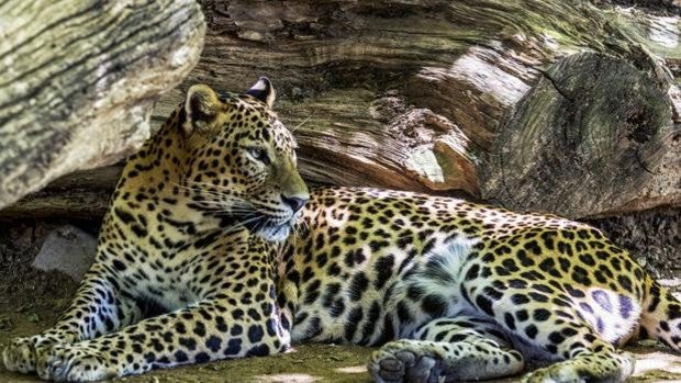 De visita con los más pequeños en el Zoobotánico de Jerez de la Frontera