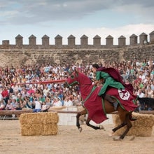 Jornadas Medievales