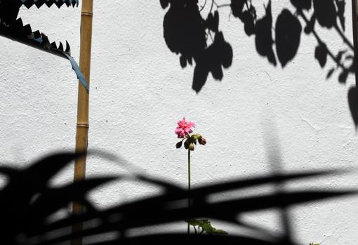 Detalle del patio del número 2 de Tafures