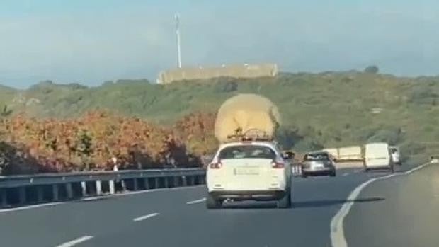 Vídeo: De nuevo a gran velocidad por la autopista de Cádiz con una carga excesiva